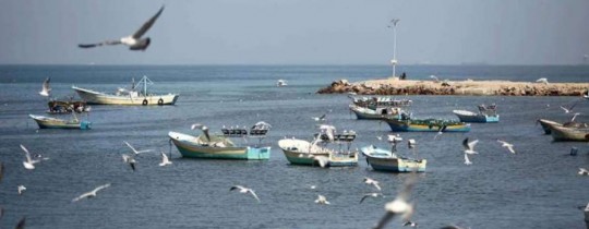 بحر مدينة غزة