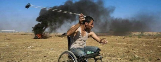 الشهيد فادي أبو صلاح 