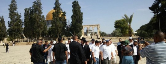 مستوطنون ويهود أمريكيين يقتحمون الأقصى بحماية أمنية مشددة