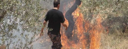 تعبيرية