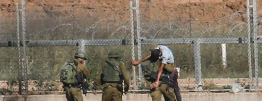 صورة من الأرشيف 