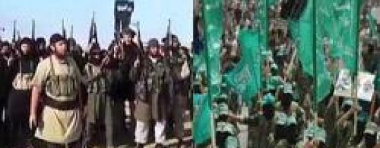 عناصر حماس وعناصر داعش