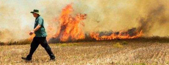 5 حرائق بمستوطنات غلاف غزة بفعل بالونات حارقة