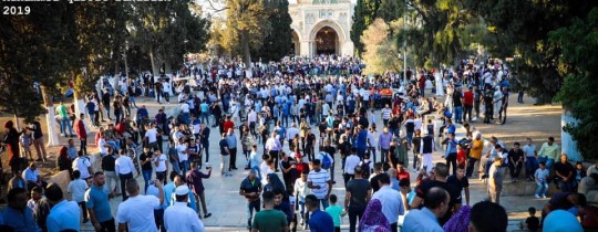صورة من الاقصى اليوم