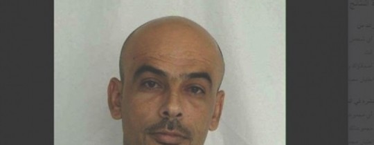 شادي معالي 