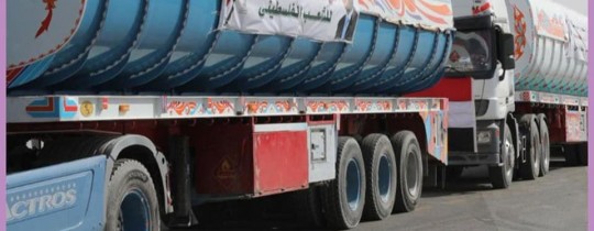 قافلة مساعدات مصرية تصل غزة