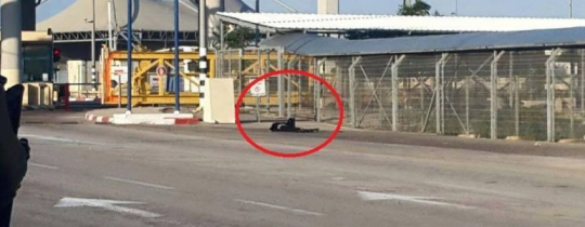 من مكان العملية جنوب مدينة قلقيلية