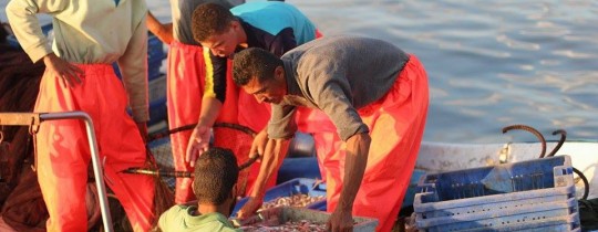 أرشيفية: صيادون فلسطينيون