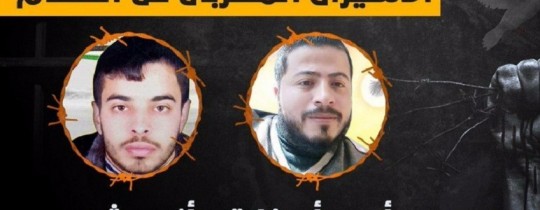 شديد وابو فارة