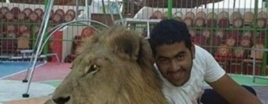 53450f98-f913-4cb2-9965-57dca68d85c8