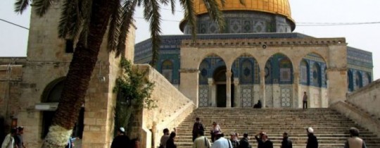 أرشـيفية