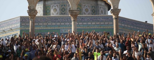 عن آباء المذلة