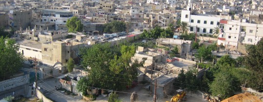 مخيّم عين الحلوة - Google