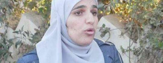 الشحاتيت