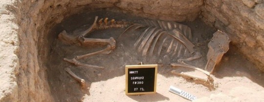 مدينة الذهب