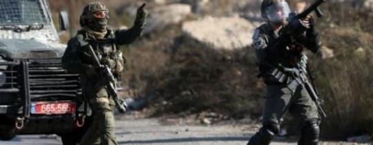أرشيفية