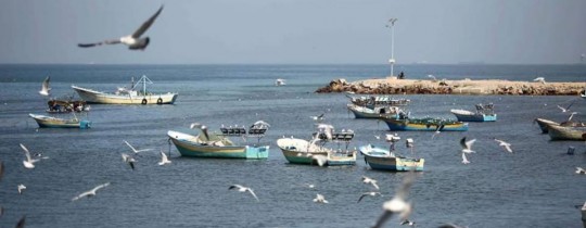 الأجواء الغائمة فوق بحر غزّة