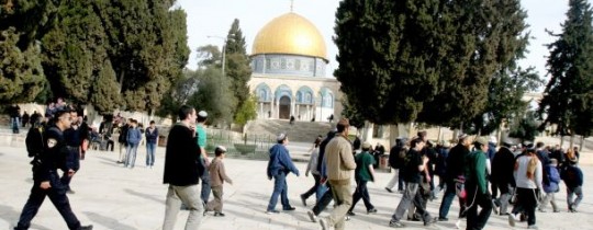 أرشيف: مستوطنون يقتحمون الأقصى