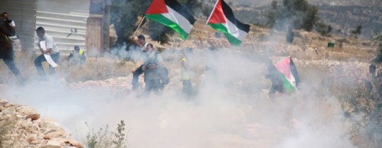 المسيرات الأسبوعية المناهضة للاستيطان والجدار - أرشيف