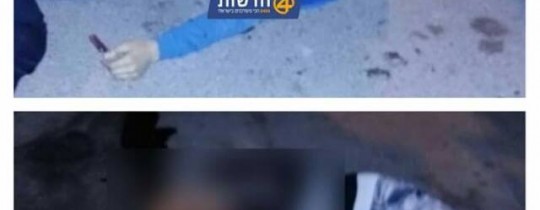 من مكان عملية الاعدام بالقرب من مستوطنة كرات اربع بالخليل