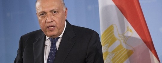 سامح شكري