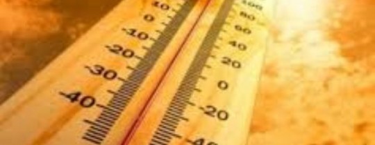 21548976645441282560