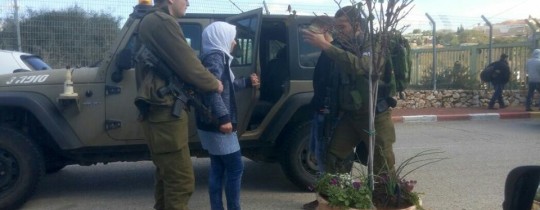 16425277_281711575579119_1384832363_n