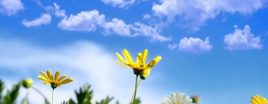 درجات الحرارة حول معدلها السنوي العام