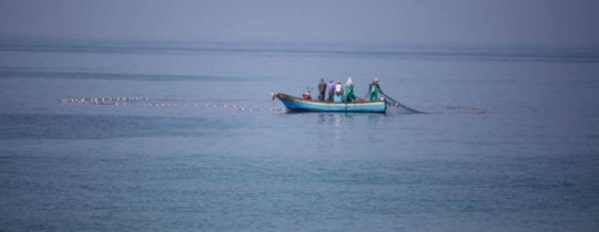 الصيادين في بحر غزة