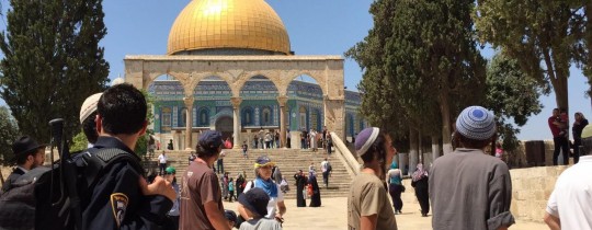 أكثر من 130 مستوطن يقتحمون المسجد الأقصى تحت حراسة الاحتلال