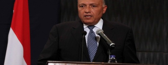 وزير الخارجية المصري سامح شكري