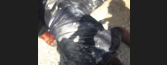 المواطن أبو قوطة 