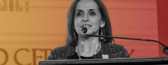 المهندسة نادية حبش