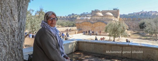 المسنة الفلسطينية نفيسة خويص