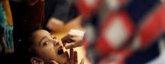 حملة التطعيم في غزة، وكالات