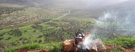 سهول فلسطين