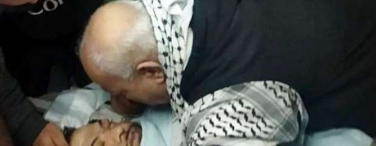 الشهيد جميل الكيال
