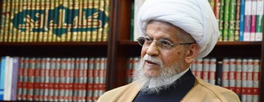 العلامة عفيف النابلسي 