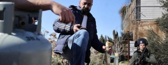 محمود صالحية