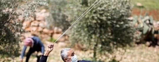 الشيخ الشهيد عاطف حنايشة 