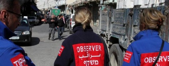 البعثة الدولية في الخليل- ارشيف