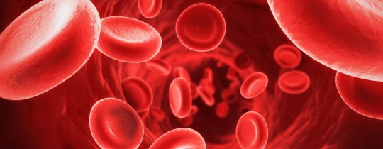 الهيموغلوبين صبغة الدم التي تنقل الأكسجين إلى جميع أنحاء الجسم