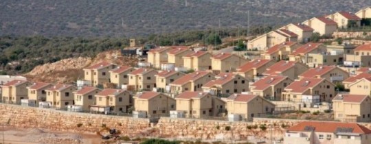 أرشيفية 