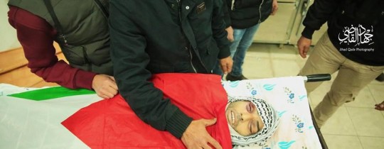 الشهيد رياض شماسنة