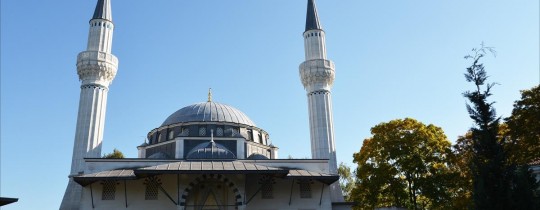 صورة تعبيرية