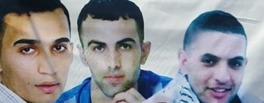 وقفة تضامنية دعماً لأسرى الخليل المُضربين عن الطعام