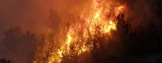 جحت شرطة الاحتلال أن الحريق اندلع بشكل متعمد، وليس بسبب أحوال الطقس.