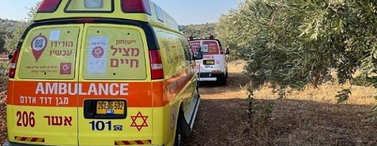 من مكان الجريمة..