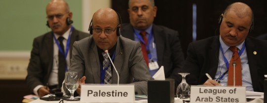 احمد ابو هولي