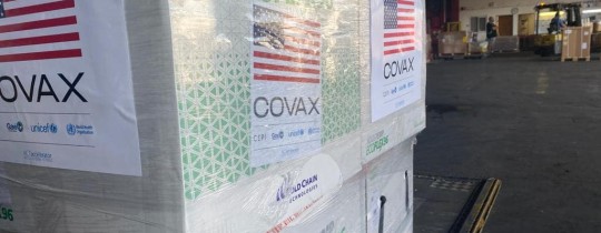 لقاحات كورونا